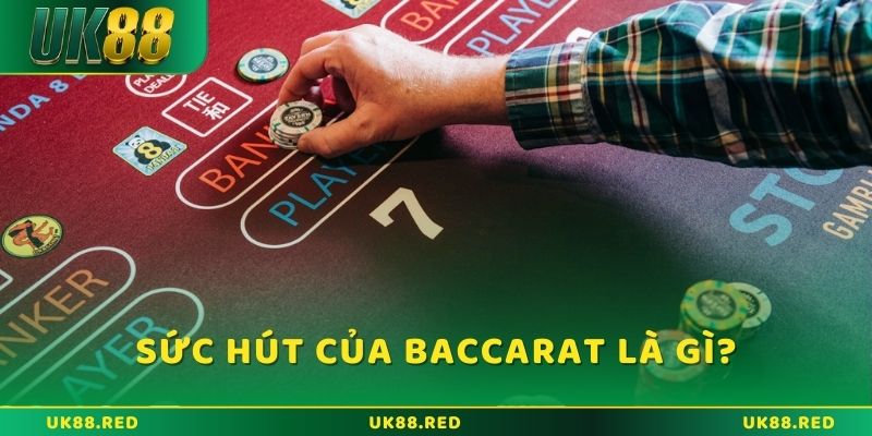 Sức hút của Baccarat là gì lại khiến nhiều người đam mê?